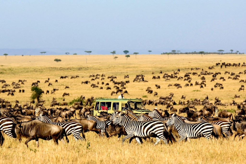 4 days Nairobi national park and Masai Mara safari